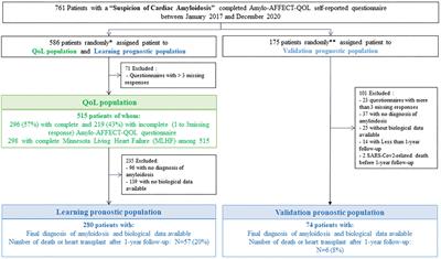 Amylo-AFFECT-QOL, a self-reported questionnaire to assess health-related quality of life and to determine the prognosis in cardiac amyloidosis